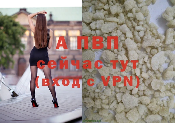 шишки Ладушкин