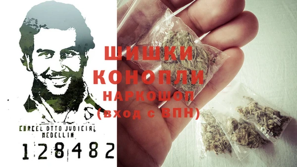 шишки Ладушкин