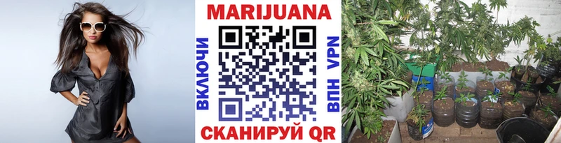 Каннабис гибрид  ОМГ ОМГ зеркало  Ханты-Мансийск  купить закладку 